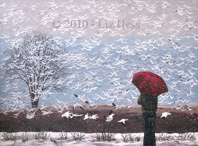 ArrivalOfTheSnowGeeseAtMiddlecreek