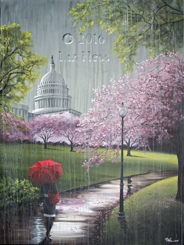 Cherry-Blossoms-At-The-Capitol