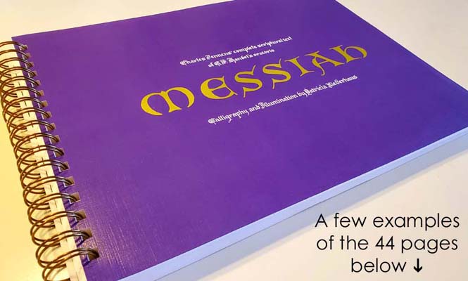 Spiral bound book for web